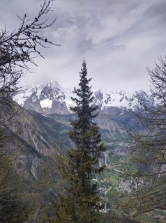 Photo de Chr Lenz le long du parcours