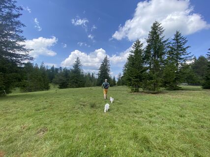 Foto von Anja Tscholl entlang der Tour