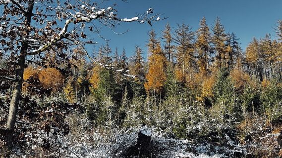 Foto von Klaus Tillmanns entlang der Tour