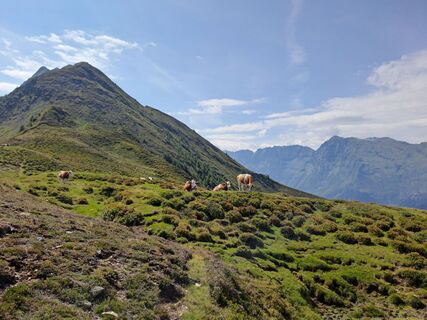 Fotografia z Alexanderaigner na trase