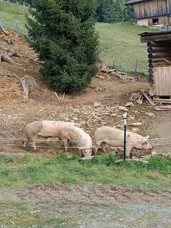 Foto de Silvia Kehl a lo largo del recorrido