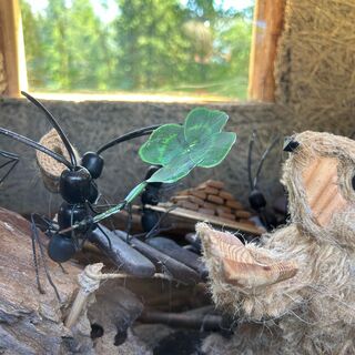 Der Murmeltierpfad ©Archivio Funivia Ciampac e Contrin S.p.A.