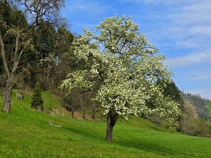 Foto von MRDL entlang der Tour