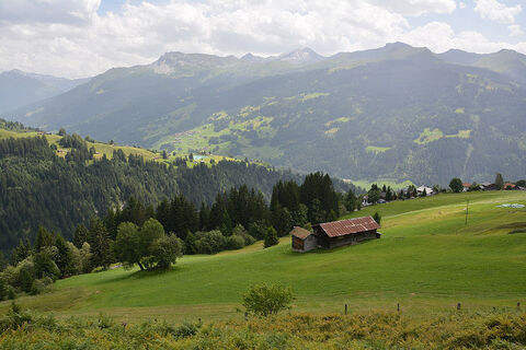 Maiensässe, Mähwiesen, und immer mit Aussicht