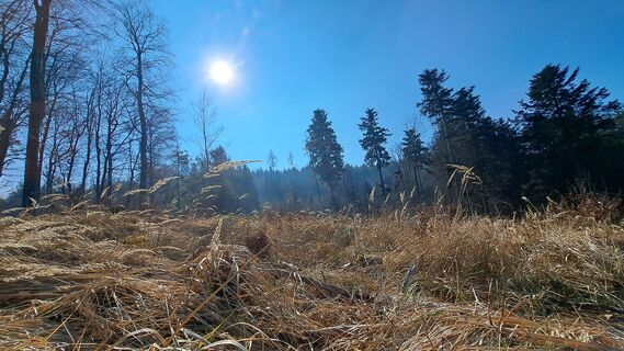 Photo de Anita Lunzer 1 le long du parcours