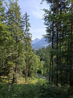 Foto de Ralf Hilprecht a lo largo del recorrido