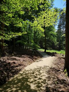 MTB Flow Trail Steinerberg