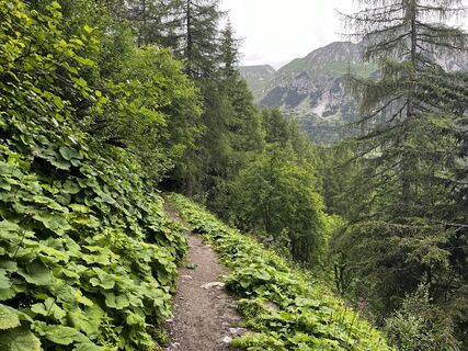 Foto von Stefano “Iddo” entlang der Tour