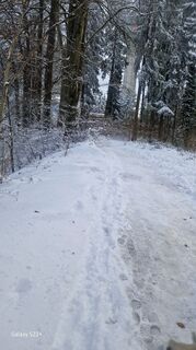 Foto från USA under resans gång