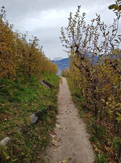 Fotografia z Thomas Oberholzer na trase