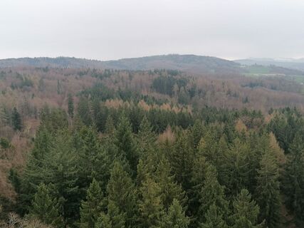 Fotografie de la luyyy de-a lungul turului