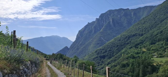 Foto de David Bubenheim a lo largo del recorrido
