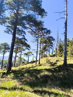 Foto von David Hincziza entlang der Tour