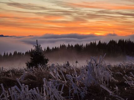 Foto von TwilightTea entlang der Tour