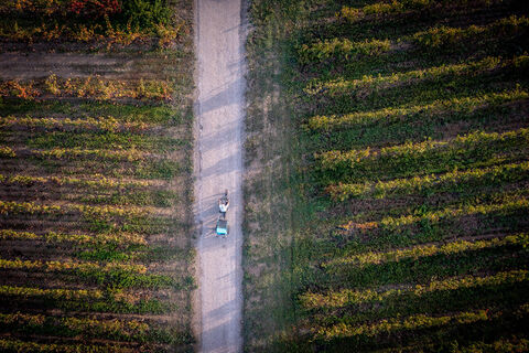 Véloccitanie_Vignoble Héraultais