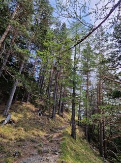 Fotografie de la Anne-Fleur Guitton de-a lungul turului