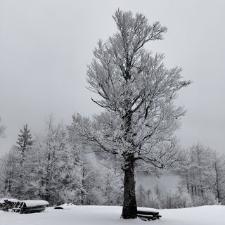 Foto von Daniele Da Rio entlang der Tour