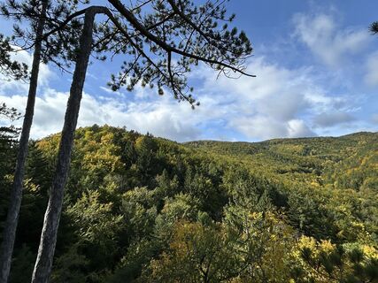 Fotografia z tjiong na trase