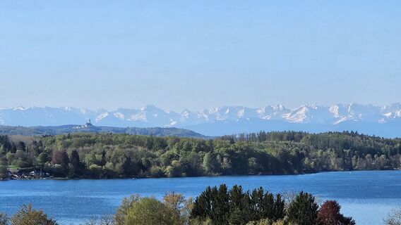 Photo de garrincha le long du parcours
