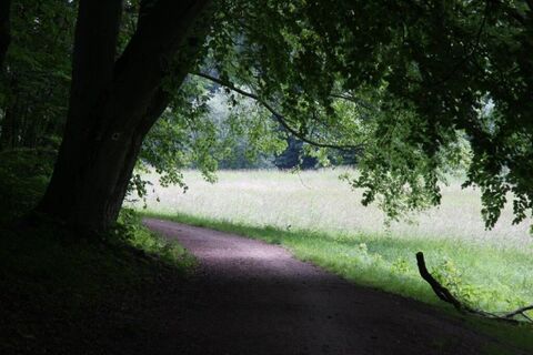 Feldmühlgraben auf dem Weg zur Landeskrone