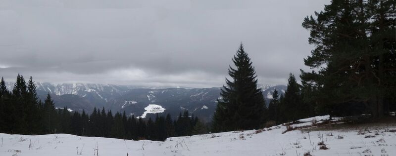 Ötscherblick