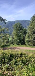 Photo de Bernard Piat le long du parcours
