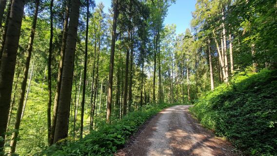 Foto von Claudia Maurer entlang der Tour