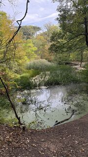 Photo de Cornelia Leben le long du parcours