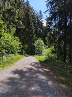 Foto von Bettina Girardelli entlang der Tour