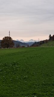 Fotografija s spletne strani A Leuenberger na poti