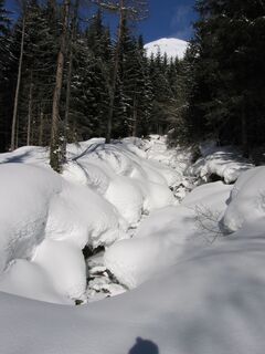 seitnerzinken_img_30880046