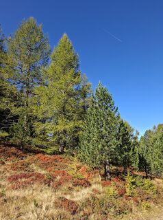Photo de Mair Brigitte36 le long du parcours