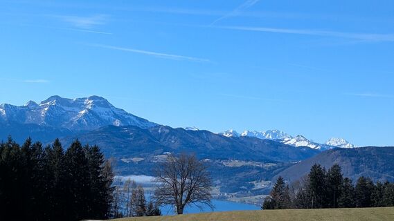 Photo de Ziegler Em1304 le long du parcours