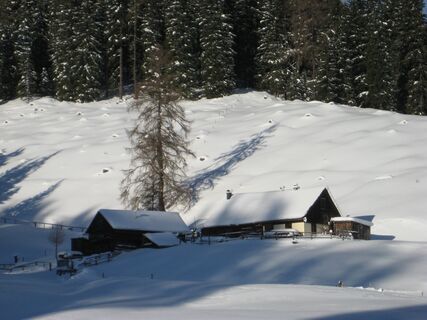 Schwarzbeeralm auf 1.410m