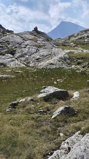Foto de Cilli Waldhof a lo largo del recorrido