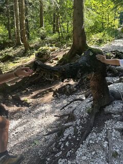 Photo de Wolfram77 le long du parcours