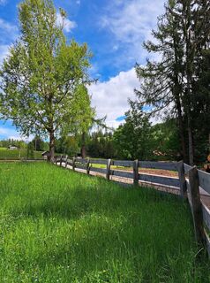 Fotografie z r55h na trase