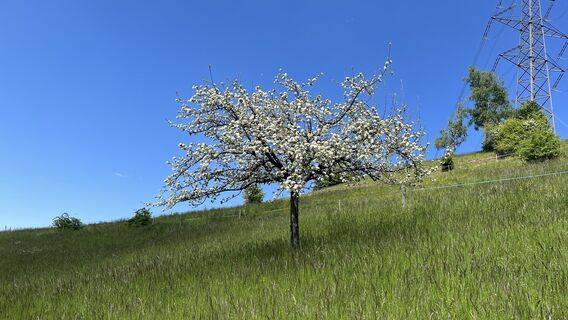 Fotografia z Pezzotta na trase