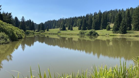 Photo de Vera Schoedl le long du parcours