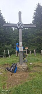 Foto von Wanderbiene entlang der Tour