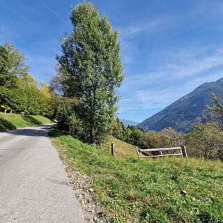 Die Strecke führt uns über eine asphaltierte Straße Bergstraße hinauf auf den Flattachberg.