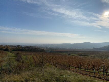 Foto från Stefan Zahlbrecht under resans gång