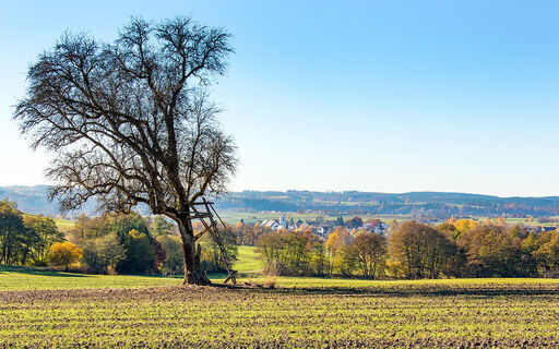 panoramarunde1