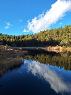 Fotografia z Dagmar Hofer na trase