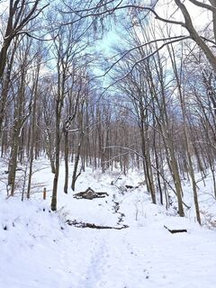 Foto de Katona Ferk Mariann a lo largo del recorrido