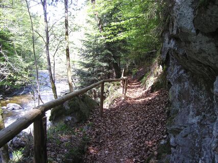 Wildbachklamm Buchberger Leite