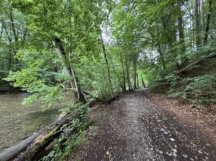 Foto von Denise Miller entlang der Tour