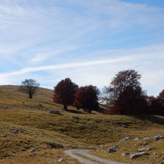 Almenwanderung - Piancavallo