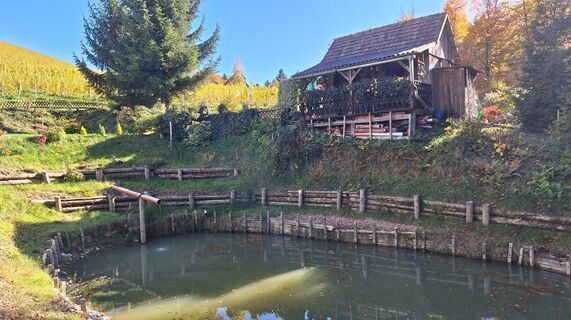 Fotografia z Karl Kriegseisen na trase