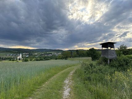 Fotografia z GeorgZ na trase
